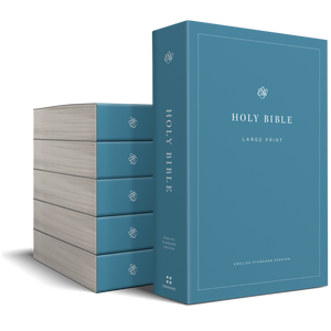 ESV Economy Bible, Large Print (Paperback, Case of 24)