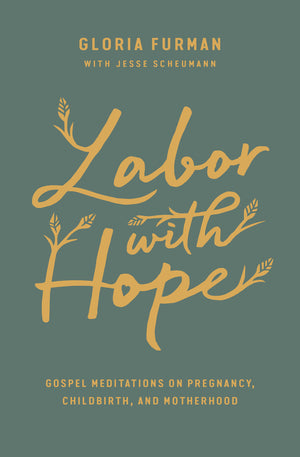 Labor with Hope: Gospel Meditations on Pregnancy, Childbirth, and Motherhood
