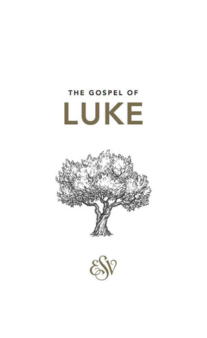 ESV Luke's Gospel by Luke (9781873166376)