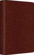 ESV Pocket Bible (TruTone, Chestnut) | 9781433568848