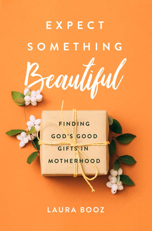 Expect Something Beautiful Finding Gods Good Gifts in Motherhood by Laura Booz