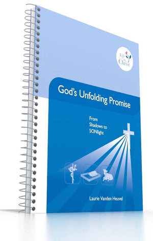 Grade 6: Gods Unfolding Promise From Shadows To Sonlight by Laurie Vanden Heuvel