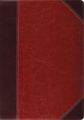 ESV Study Bible (TruTone, Brown/Cordovan, Portfolio Design) by ESV (9781433503795) Reformers Bookshop