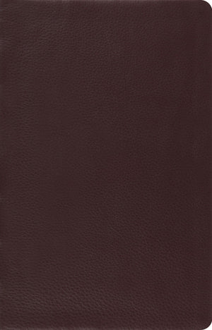 ESV Large Print Thinline Reference Bible (Genuine Leather, Black)