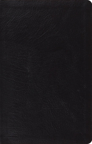 ESV Large Print Thinline Reference Bible (Top Grain Leather, Brown)