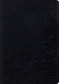 ESV Study Bible, Large Print (Genuine Leather, Black) by ESV (9781433544316) Reformers Bookshop