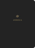 ESV Scripture Journal: Joshua | 9781433546358