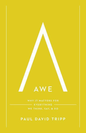 9781433547072-Awe: Why It Matters for Everything We Think, Say, and Do-Tripp, Paul David