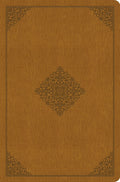 ESV Value Compact Bible (TruTone, Goldenrod, Ornament Design) by ESV (9781433547584) Reformers Bookshop