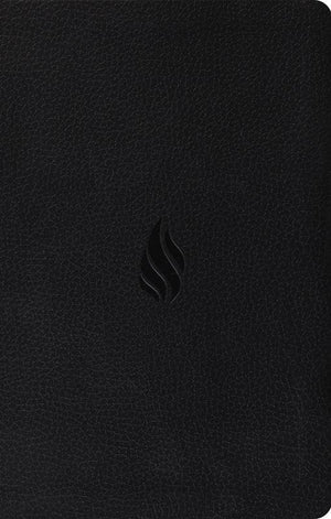 9781433550621-ESV Premium Gift Bible: Midnight: Flame Design-Bible