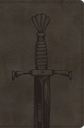 ESV Compact Bible (TruTone, Silver, Sword Design) by ESV (9781433551383) Reformers Bookshop