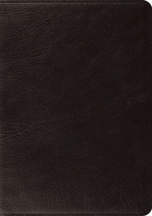ESV Systematic Theology Study Bible (Genuine Leather, Black) by ESV (9781433553394) Reformers Bookshop