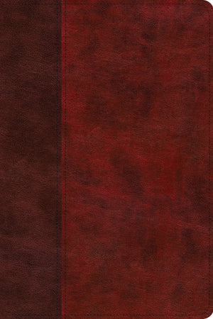 ESV Story of Redemption Bible: A Journey through the Unfolding Promises of God (TruTone, Burgundy/Red, Timeless Design ) by ESV (9781433554612) Reformers Bookshop