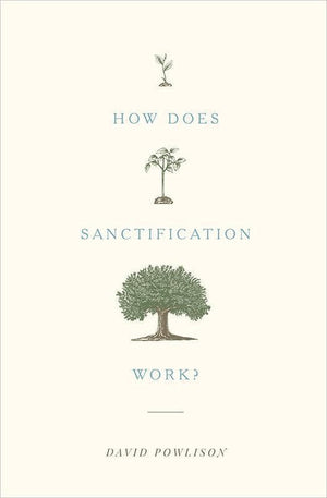 9781433556104-How Does Sanctification Work-Powlison, David