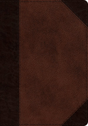 ESV Journaling Psalter TruTone, Brown/Walnut, Portfolio Design by Bible (9781433557606) Reformers Bookshop
