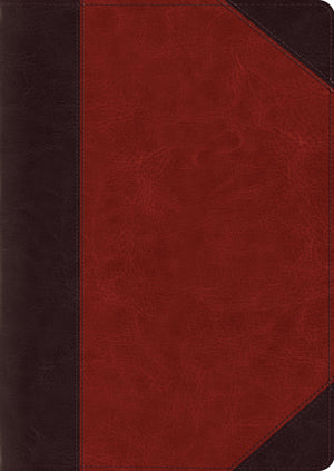 ESV Study Bible, Large Print (TruTone, Brown/Cordovan, Portfolio Design) by ESV (9781433557668) Reformers Bookshop