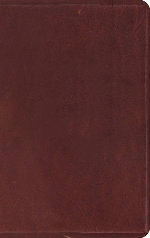 ESV Thinline Bible (Natural Leather, Brown) by ESV (9781433557729) Reformers Bookshop