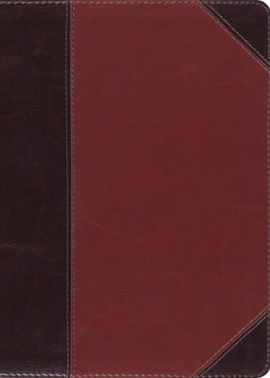 ESV MacArthur Study Bible (TruTone, Brown/Cordovan, Portfolio Design) by ESV (9781433558931) Reformers Bookshop