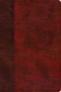 ESV Journaling New Testament, Inductive Edition | Burgundy Trutone by Bible (9781433562068) Reformers Bookshop