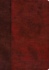 ESV Study Bible (TruTone, Burgundy/Red, Timeless Design) by ESV (9781433563560) Reformers Bookshop