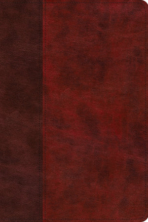 ESV Gospel Transformation Study Bible: Christ in All of Scripture, Grace for All of Life (TruTone, Burgundy/Red, Timeless Design) by ESV (9781433563614) Reformers Bookshop