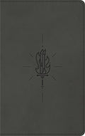 ESV Kid's Bible, Thinline (TruTone, Sword of the Spirit) by ESV (9781433563669) Reformers Bookshop