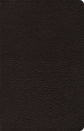 ESV Premium Thinline Bible (Goatskin, Black) by ESV (9781433564567) Reformers Bookshop