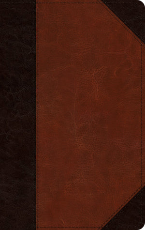 ESV Single Column Thinline Bible (TruTone, Brown/Cordovan, Portfolio Design) by ESV (9781433564642) Reformers Bookshop