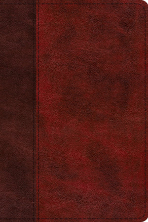 ESV Study Bible, Personal Size (TruTone, Burgundy/Red, Timeless Design) by (9781433564697) Reformers Bookshop