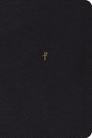 The Greek New Testament, Produced at Tyndale House, Cambridge, Reader's Edition (Top Grain Leather, Black) by Tyndale House (9781433565199) Reformers Bookshop