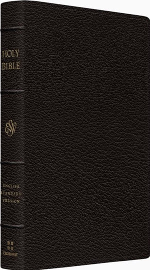 ESV Preaching Bible Verse By Verse Edition