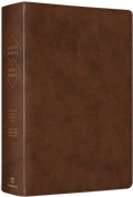 ESV Spanish/English Parallel Bible (La Santa Biblia RVR / The Holy Bible ESV, TruTone, Brown)
