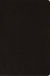 ESV Compact Bible (Buffalo Leather, Deep Brown)