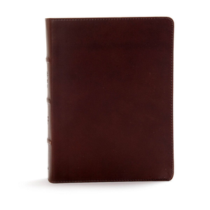 CSB Study Bible (Brown Genuine Leather)