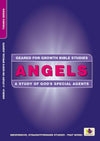 Angels: A Study of God's Special Agents by Trice, Graham M. (9781527103108) Reformers Bookshop