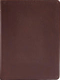 CSB He Reads Truth Bible (Brown Genuine Leather, Indexed) by CSB Bibles by Holman