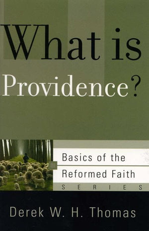 9781596380929-BRF What is Providence-Thomas, Derek W.H.