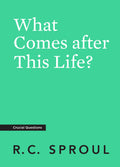 Crucial Questions: What Comes after This Life? by R. C. Sproul
