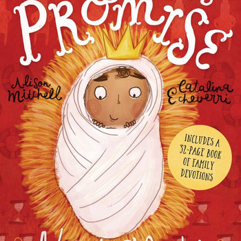 Christmas Promise, The: Advent Calendar