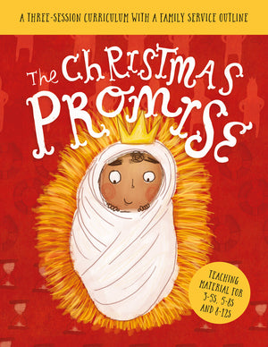 Christmas Promise, The: Sunday School Lessons by Lizzie Laferton; Carl Laferton