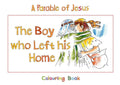 The Boy Who Left His Home: Book 2 by MacKenzie, Carine (9781845504717) Reformers Bookshop