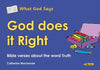 9781845506056-What God Says: God Does it Right-Mackenzie, Catherine