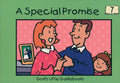 Special Promise, A