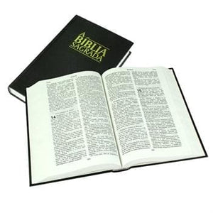 Portuguese Large Print Bible (Hardback - Black)