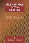 Gleanings from Elisha