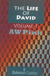 Life of David, The (Volume 1)