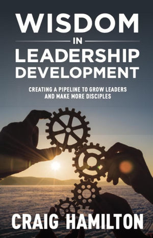 Wisdom In Leadership Development Craig Hamilton