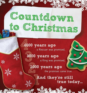 9781908317193-Countdown to Christmas-Mitchell, Alison