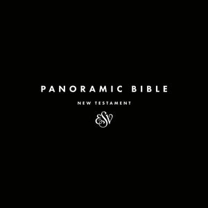 Panoramic Bible: The New Testament by Bible (9781912373758) Reformers Bookshop