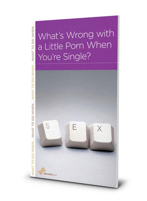 Whats Wrong With A Little Porn When You're a Single?